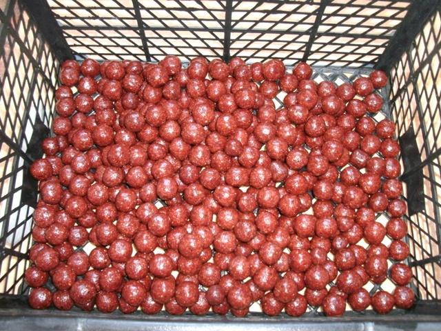 pregatiri - gedc0353.JPG